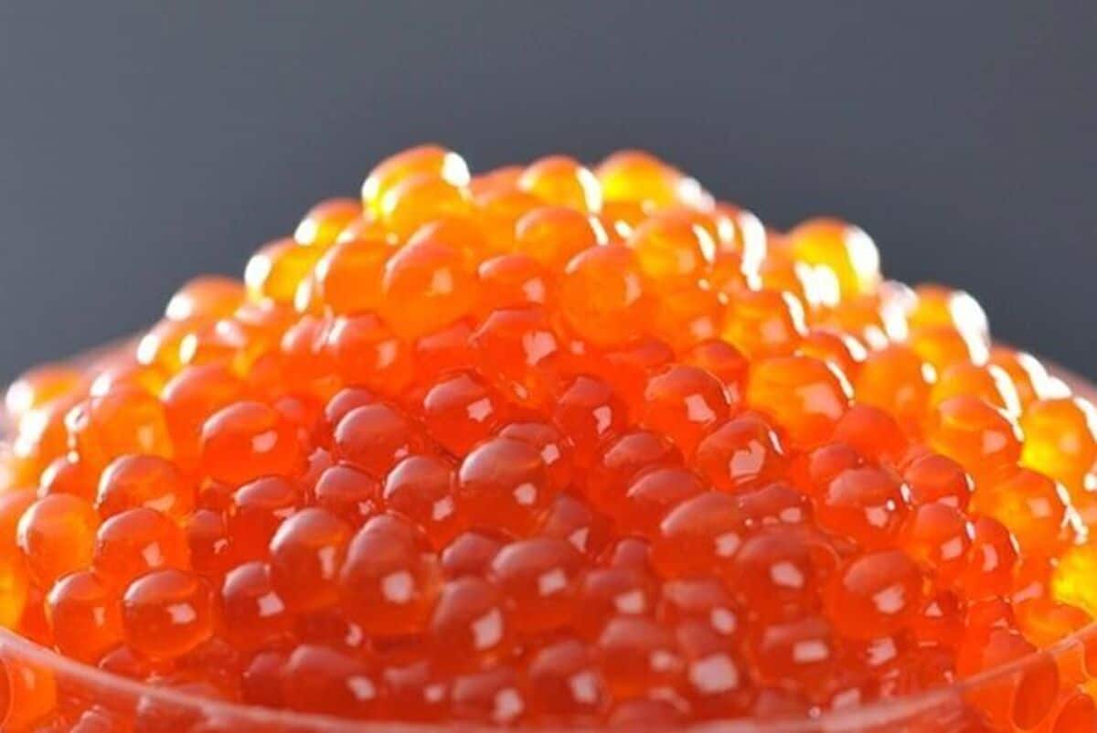 خرید و قیمت خاویار قرمز 200 گرمی + فروش صادراتی